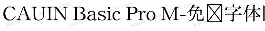 CAUIN Basic Pro M字体转换